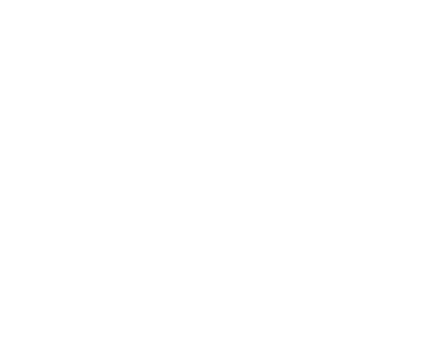 Transul Transporte